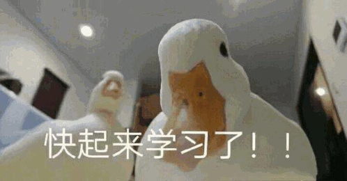 今日起,广深广珠珠机城际车票有优惠购票攻略快收好
