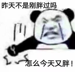 快乐源泉表情包