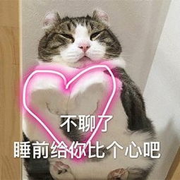 做对这几步,夏天不吹空调照样凉爽