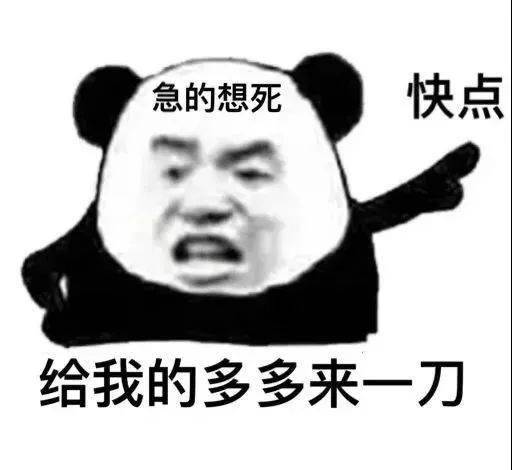今日份沙雕熊猫头表情包
