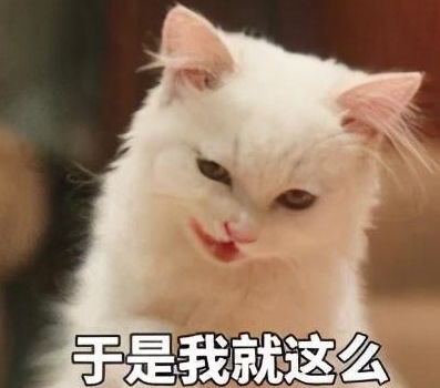 怎么什么生物都能够撸猫啊,用嘴的那个你过分了啊