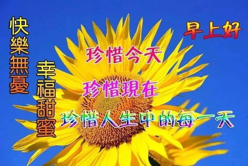 十二月份早上好问候语动态图片表情大全十二月早上好祝福语图片带字