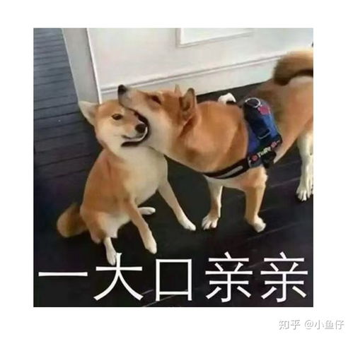 女追男,并且倒追成功,是什么样的体验
