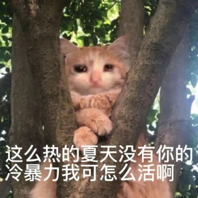 share搞怪沙雕表情包