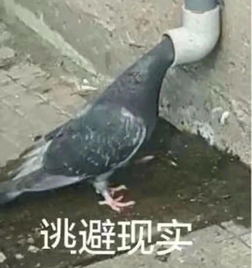战胜了新冠肺炎,却收到100万刀的天价账单病人心脏险些再次停跳
