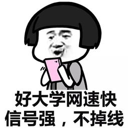 我学的vs我考的表情包