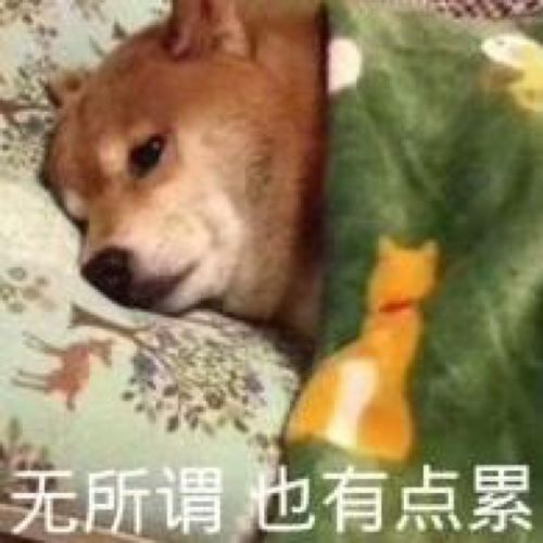 知乎盐选囚幺下