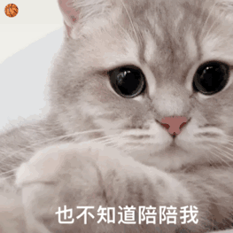 热门表情包第136期丨可爱撒娇