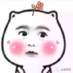 上了她表情包微笑