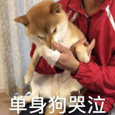 表情包搞笑图片单身狗
