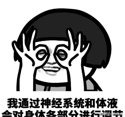 搞笑段子昨天刚发工资,今天见同事一美眉脖子上多了条金项链