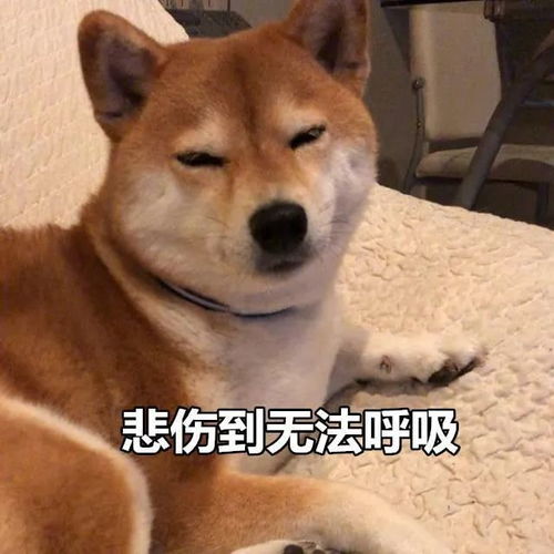 五一电影档期强大超多大片上映你今日睇咗未