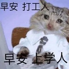 打工人表情包合集,加油打工人图片,斗图贱表情